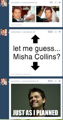 lezbian-yellow-sourfruit:  Yeah, Misha. That’s