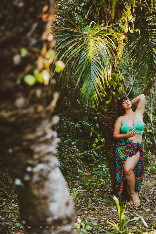 XXX corwinprescott:    “The Jungle”Bonito, photo