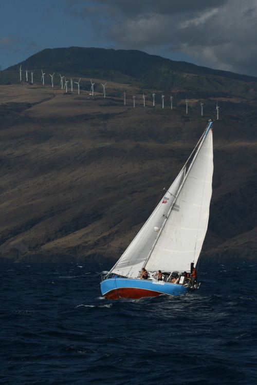 sail2live:  Cool… wind power at work twice…