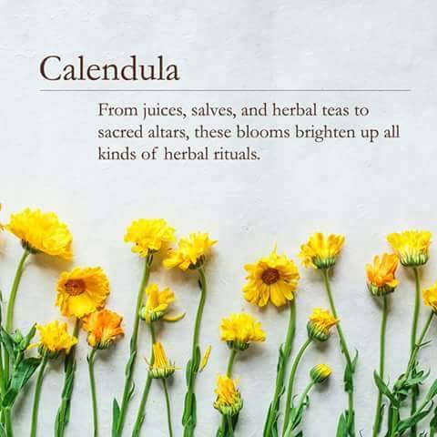 #herbs #naturesmedicine