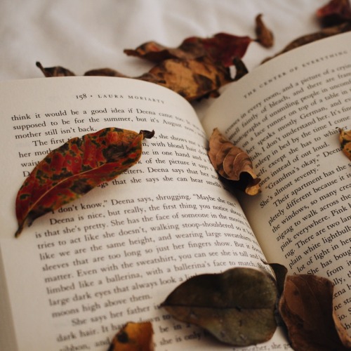 thefaithfulreader: Books &amp; Cupcakes Book Photo Challenge - November 7 | Leaves