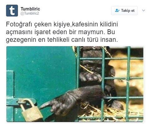 Fotoğrafı çeken...