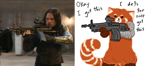 anicalewis:I think it was @sashayed who referred to Bucky as having a “little affronted red panda fa