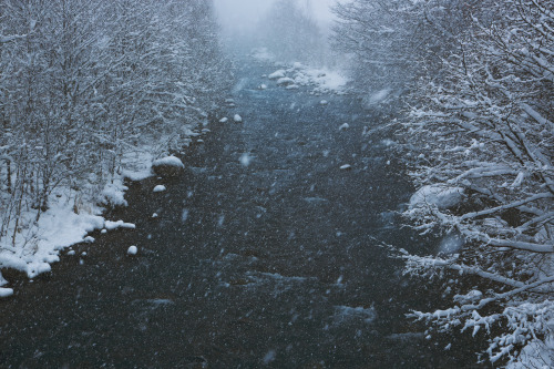 alcyere:Blue river in the snow (by tsuntsun3)