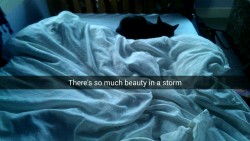 the-blue-gardens:  “There’s so much beauty in a storm”