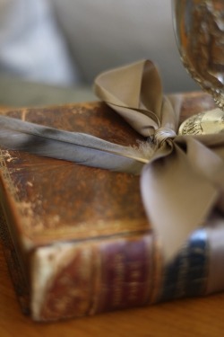 Old leather bound books, feathers and ribbon?