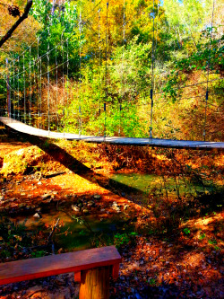 acidartbylj:  Fall at the Swinging Bridge