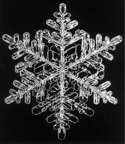 Heinrich Heidersberger, Snowflake, Schneesternchen, 1956. Germany. Read more about the german photog