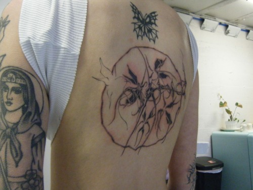 Lines Healed Fill Fresh 