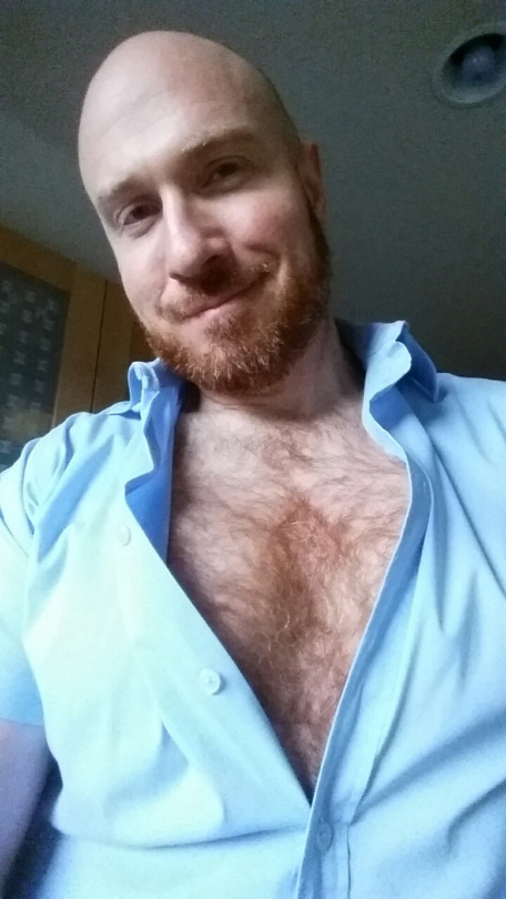 likeshairy:Ginger chest fur