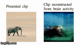 sixpenceee:  5000 people were shown random YouTube videos. Scientists reconstructed