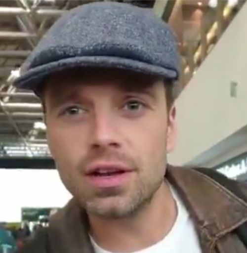 Adopting A Puppy With Bucky Barnes So Apline Can Have A Sibling