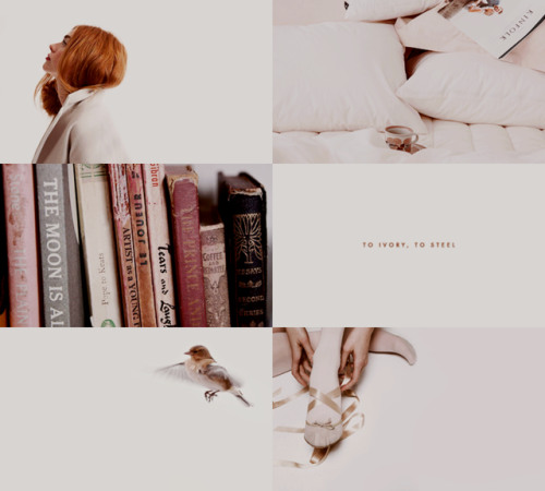 jediknightrey:AESTHETIC MEME:  [3/7] AUs: Sansa Stark Modern AU