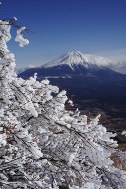 travelingcolors:  Mount Fuji | Japan (by Musapoo 無作風ღ)