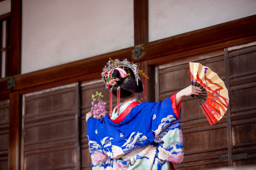 Aoi Taiyu celebrating sakura at Bishamon-dō Temple, by Prado(I am so grateful for those photos. Cour