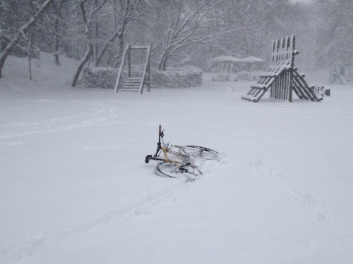 xizang325: 2014/2/8  関東地方は記録的大雪！！ 玄関開けたらそこは全てがオフロード！ 楽しく遊ばせてもらいました！！