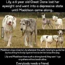 Everybody needs a #friend #9gag