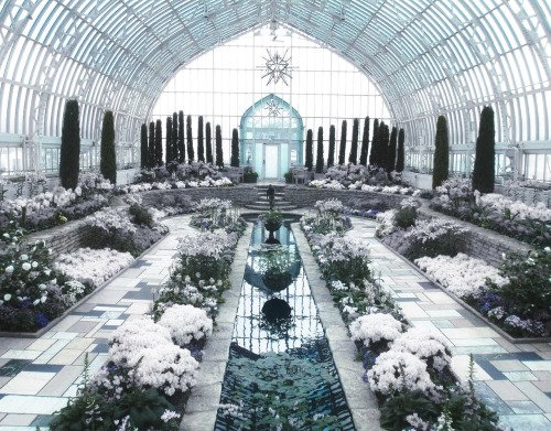 bursting-passion:Como Zoo and Marjorie McNeely Conservatory in St. Paul, Minnesota