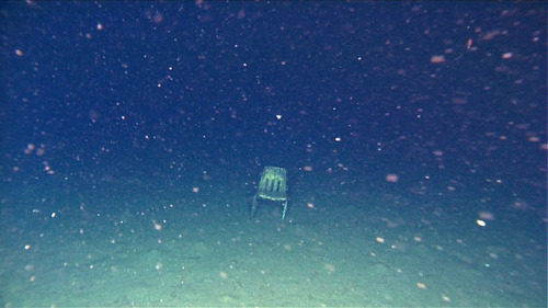 sealedbeastnue:  jetpack-jenny:  bundyspooks:  A group of divers found this single chair at the bott