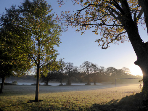 A glorious crispy morning along the river trail, all frost and mist, beautiful bright sun and a bite