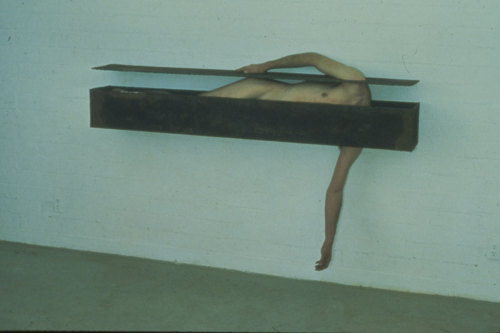 poeticasvisuais:  Charles Ray 