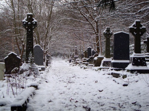 girlsinthegraveyard:The way to the graveyard is prepared for the ice queen.