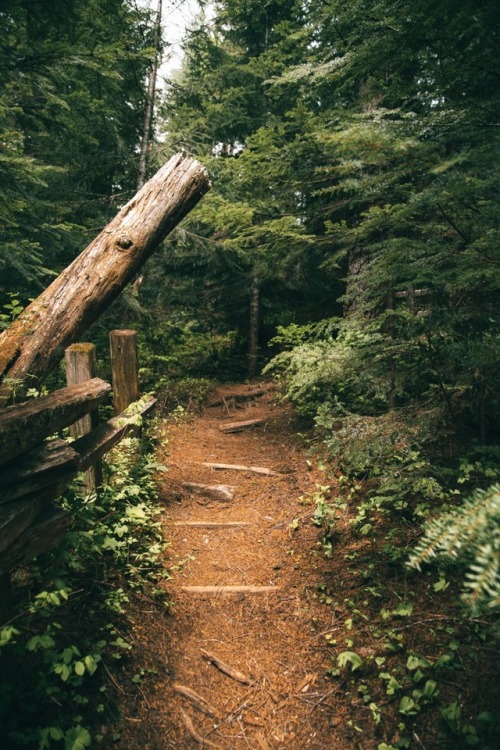 onetrillionthoughts:hannahkemp:Hiking around.Prints//Instagramall good things are wild and free