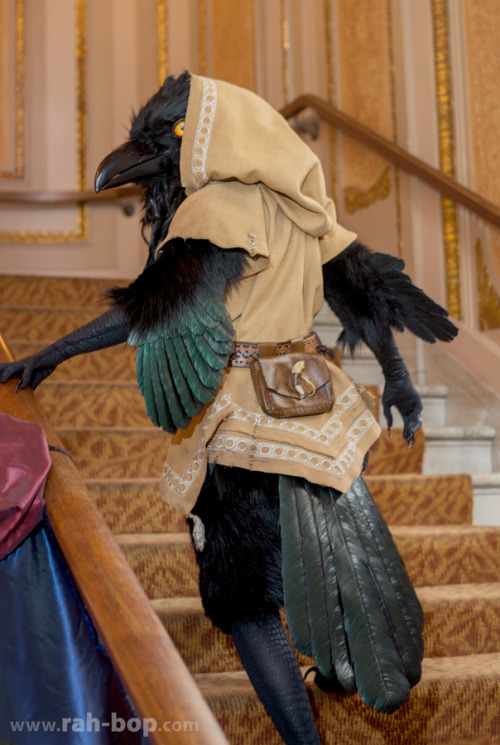 nambroth:rah-bop:Bird Costume Tutorial MasterpostHere are a collection of tutorials explaining how I