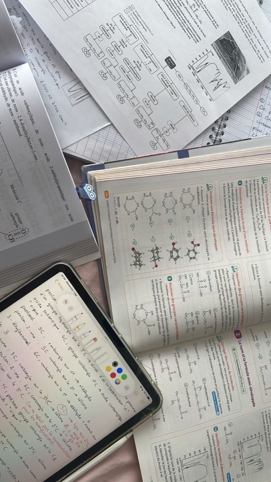 Studying Until My Dreams Become My Reality
