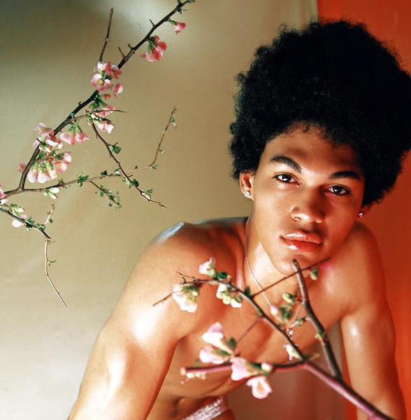 driflloon:  ludovic de st sernin: d’angelo rodriguez for interview magazine apr.
