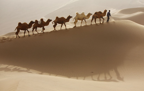 Porn travelingcolors:  Gobi Desert | China (by photos