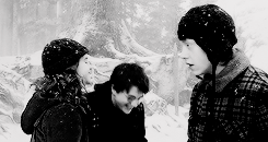 arthurdarvvill:  THE MAGIC BEGINS ϟ  Favourite Relationship | The Golden Trio