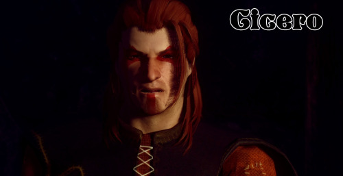 skyrim nexus dark brotherhood