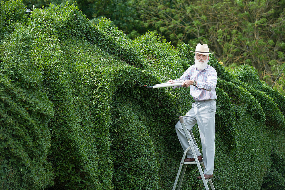 itscolossal:  Man Spends a Decade Transforming a Hedge into a Massive Dragon 