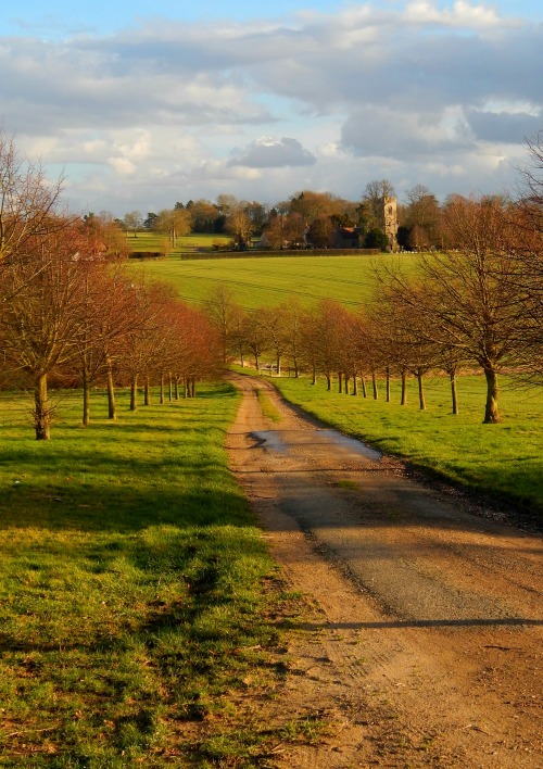 fuckitandmovetobritain:  England [15] -  Bourton On The Water, Canterbury, Norwich, Stanton, Cambridge, Rye, Oxford, Little Hadham, Bakewell, Corfe Castle 