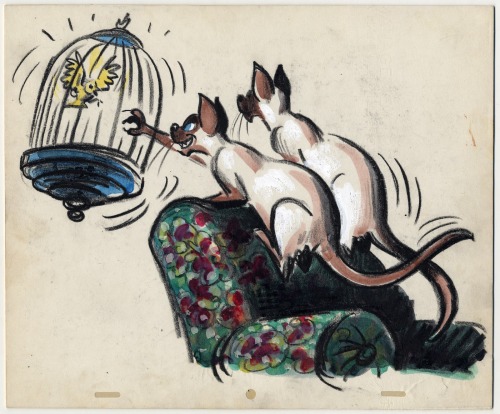 the-disney-elite:   Joe Rinaldi’s Lady and the Tramp  storyboards featuring the Siamese Cats.
