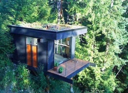 3leapfrogs:  thekhooll:  The Office Treehouse Office by Peter Frazier is set amongst