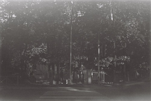 Finally, I tried developing black and white film manually instead of sending it to the lab. This one