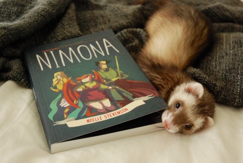 the-book-ferret: gingerhaze I feel like Nimona would have made a great little mischievous ferret!