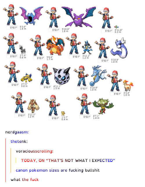 i-have-no-gender-only-rage: tumblr and pokemon part 5 1 2 3 4 6 7 8