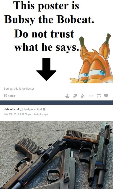 texenox:bagged-a-bazooka:clairium:watch the fuck out, bubsy is armed and dangerousWHAT COULD POSSIBL