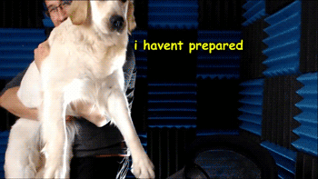 dogiplier: Chica + ThoughtsFind more C+T here!