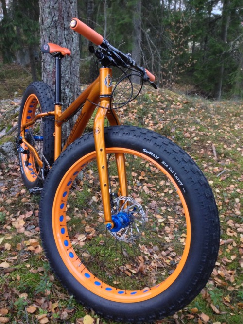 oldklein: Salsa Mukluk 2014 xs