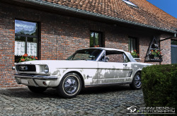 luxuryandexotics:  1966 Ford Mustang