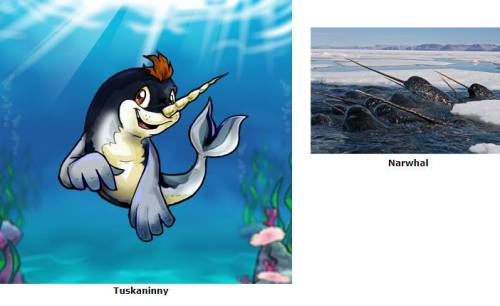 piggletarts:Aquatic Neopets as Maraquan NEED TO BE A THING!!~~Here some of my designs :3