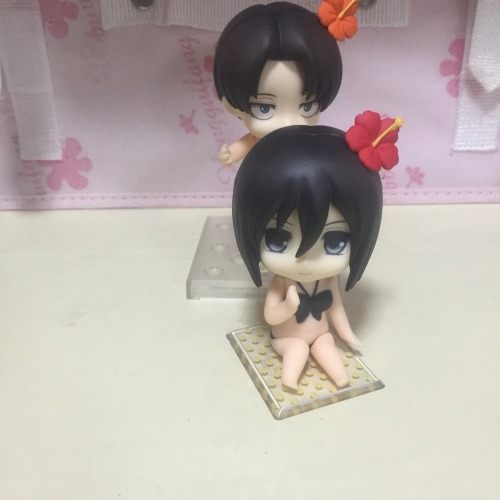 Porn photo kuranblr:    Watch out，Mikasa！ 