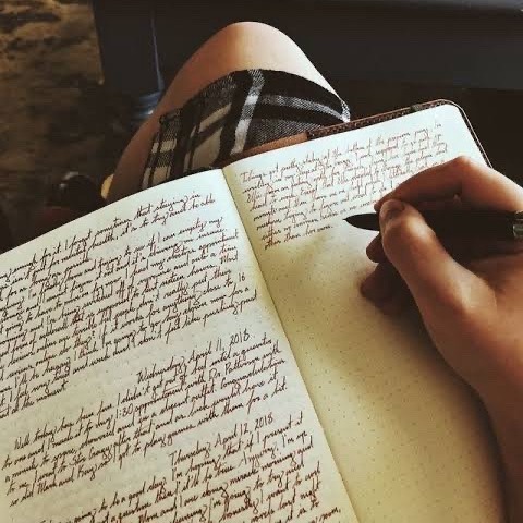 Tumblr media
