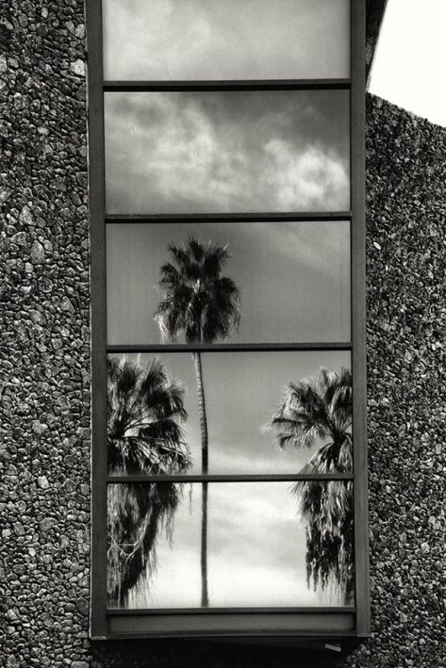 gacougnol:Frank VerreykenPalm Springs, Museum