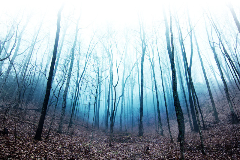 brutalgeneration:  Fog (by Tyler van der Hoeven) 