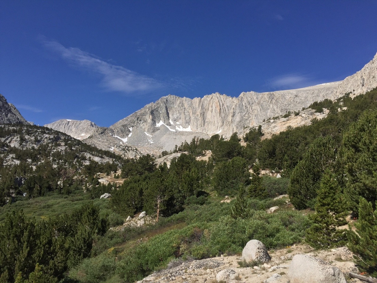 wackestoned:  Tbt pluton mapping in Rock Creek, CA. A summer day of mafic enclaves,